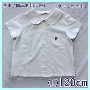 TA-06-1　玉川学園幼稚園 半袖ブラウス 120cm 制服 白 ホワイト 子供 幼児 丸襟 日本製