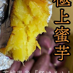 糖度50度越え☆極上甘々『紅はるか』石焼き芋　2キロ 