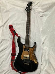 FERNANDES スキャロップネック dcj Duncanピックアップ　freedom custom GUITAR research パネル ストラト カスタム 改造 エレキギター 