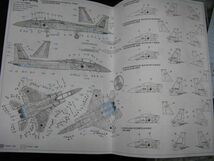 ★　ハセガワ　1/72 F-15J イーグル　' 航空自衛隊 '　【オマケ：キャノピーマスキング付】　★_画像7