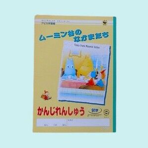 アピカかんじれんしゅう91字　ムーミン谷のなかまたち　学用3号179ｘ252･30枚　17ﾐﾘﾏｽ　ﾘｰﾀﾞｰ入り　30冊