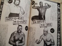 新日本プロレスリングマガジン 闘魂スペシャル'85IWGPタッグ・リーグ戦記念号 アントニオ猪木ブルーザーブロディエリック兄弟ザコブラ_画像7