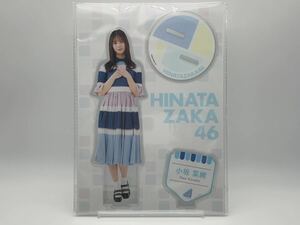 日向坂46 ビッグアクリルスタンド 小坂菜緒 Loppi・HMV 限定 新品 未使用 未開封