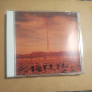 イエス ノー。 ／ＴＨＥ ＳＱＵＡＲＥ （Ｔ−ＳＱＵＡＲＥ） Ｔ−ＳＱＵＡＲＥ／ＴＨＥ ＳＱＵＡＲＥ　 CD　　 　,L