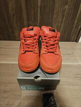 NIKE DUNK Low PRO SB (601カラー) レッドデビル　US10(28cm)_画像3