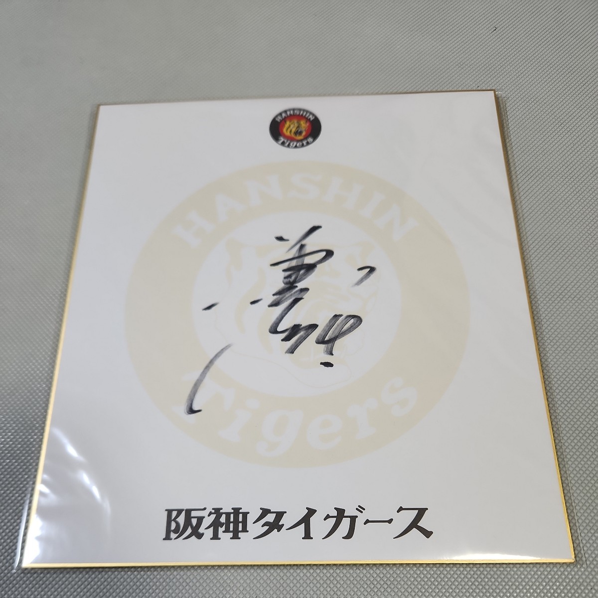 Papier coloré dédicacé de l'équipe de l'entraîneur des Hanshin Tigers Atsushi Fujimoto, base-ball, Souvenir, Marchandises connexes, signe