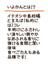 送料込！！愛媛県中島産いよかん家庭用極小2S箱込15㎏伊予柑産地直送④_画像6