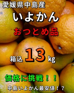 送料込！！愛媛県中島産いよかんおつとめ品箱込13㎏伊予柑産地直送①