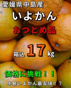 os愛媛県中島産いよかんおつとめ品箱込17㎏伊予柑産地直送④