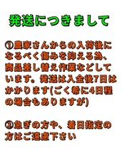 送料込！！愛媛県中島産いよかん家庭用ランダムサイズMix11㎏+保証量300g(箱込13㎏)伊予柑産地直送③_画像10