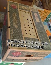 送料込！！愛媛県中島産いよかん家庭用極小2S箱込15㎏伊予柑産地直送②_画像9