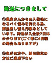 送料込！！愛媛県中島産いよかん家庭用極小2S箱込15㎏伊予柑産地直送①_画像10