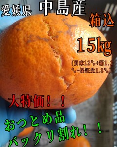 送料込！！超特価！！愛媛県中島産甘平おつとめ品箱込15㎏(賞味12㌔+箱1.2㌔+保証量1.8㌔)産地直送⑪