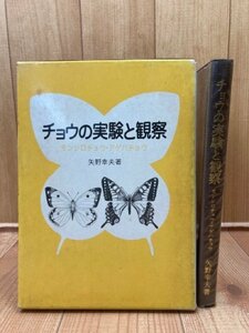 チョウの実験と観察 モンシロチョウ・アゲハチョウ /矢野幸夫　YAG808