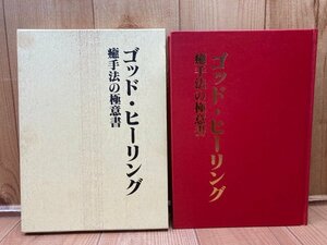 ゴッドヒーリング　癒手法の極意書/龍神入野　YAG786