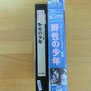 VHS★野生の少年の画像3