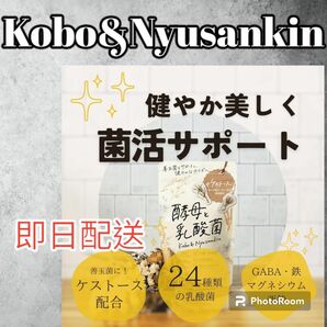 【ラスト一点】 オタサポ 酵母と乳酸菌 サプリ 120粒 GABA 鉄分マグネシウム 送料無料 即日配送