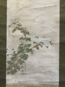 【真作】酒井抱一「花鳥図 」 古い掛け軸(掛軸) 肉筆 紙本 日本画 中国画 時代物 美術品 画芯サイズ約103.5*40.5cm 箱あり