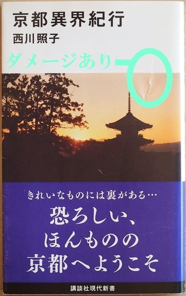 ★送料無料★　京都異界紀行　霊に導かれ怨霊の声を頼りに京都の町中を歩く 聖と穢が繰り広げる怪しい京都の奥深く地下水脈に潜入 西川照子