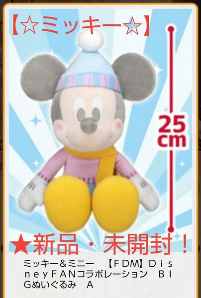 限定特価sale♪新品☆ミッキー&ミニー【FDM】DisneyFANコラボレーション BIGぬいぐるみ(約★25cm)