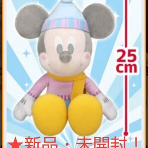 ☆11月限定特価♪新品☆ミッキー&ミニー【FDM】DisneyFANコラボレーション BIGぬいぐるみ(約★25cm)