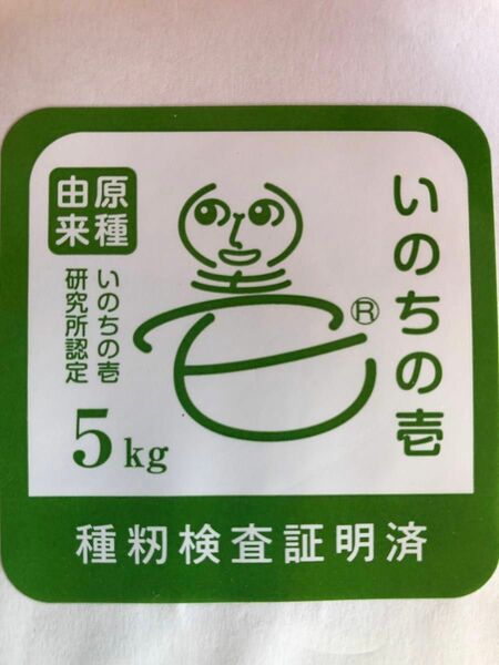 栃木県産農家直送新米いのちの壱5kg令和5年生産