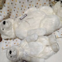 5ジョイント親子ポーラベア★親ぐま57cm、子ぐま40cm、限定1500体テディベアCHARLIEBEARS 美品_画像5