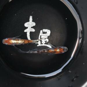 も屋　①　三色RT　1ペア 　三色ラメ体外光　メダカ　めだか　jan18