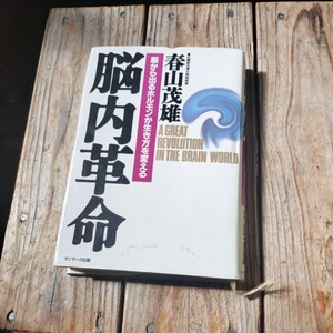 ☆脳内革命　春山茂雄　サンマーク出版☆