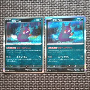 ポケモンカード モル ペコ　２枚セット　 シャイニー トレジャー ex