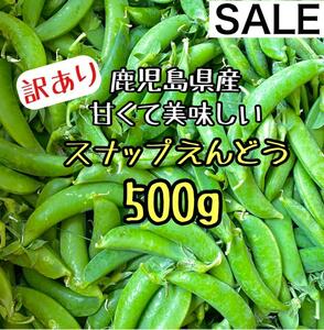 甘さ◎鹿児島産 スナップえんどう 500g 美味しい スナップエンドウ