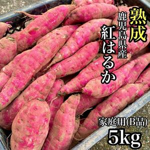 【熟成】紅はるか 訳あり 5kg さつまいも シルクスイート好きに b