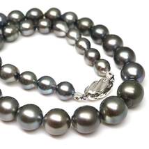 ◆南洋黒蝶真珠ネックレス◆J 約63.1g 約44cm 8.5-12.0mm珠 真珠 パール pearl ジュエリーjewelry necklace EB0/EE0_画像1