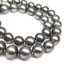 ◆南洋黒蝶真珠ネックレス&イヤリング◆J 約70.4g 約42.5cm 8.0-12.0mm珠 真珠 パール pearl ジュエリーjewelry necklace EB8/EE8_画像4