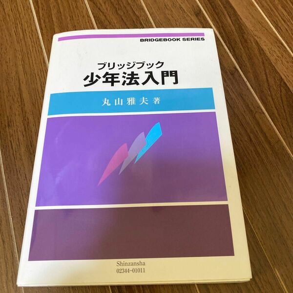 ブリッジブック少年法入門 （ブリッジブックシリーズ） 丸山雅夫／著