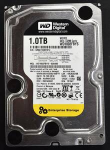 WESTERN DIGITAL WD1002FBYS [1TB (1000GB) 7,200rpm SATA HDD 2010年製 (Cristal DiscInfo 正常状態) 使用時間 61695H (管:HH6