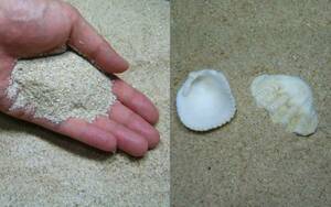 オカヤドカリ用　特製＠砂！3kgセット（天然海水付き）＠３