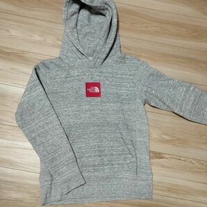 THE NORTH FACE HEATHER LOGO HOODIE