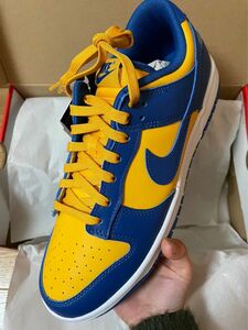 Nike Terminator Low University Gold and Navy Michigan 27cm 新品未使用