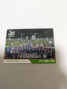 2023 Jリーグ 湘南ベルマーレ オフィシャルトレーディングカード 2014年J2優勝/J1昇格 BM38