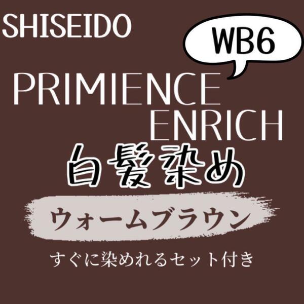 最安値 資生堂 WB6 白髪染め ロングヘア用 ヘアカラー剤 セット付 ヘアカラー ウォーム ブラウン 少し暖色みのある艶が出るブラウン