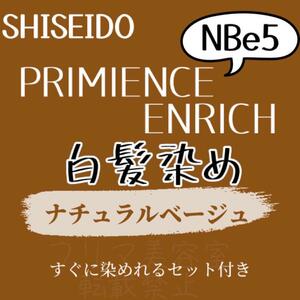 最安値 資生堂 NBe5 白髪染め ヘアカラー ロング用 ヘアカラー剤 2本組 セット付 少し暗め 色持ち良し 自然な地毛に近いナチュラルベージュ