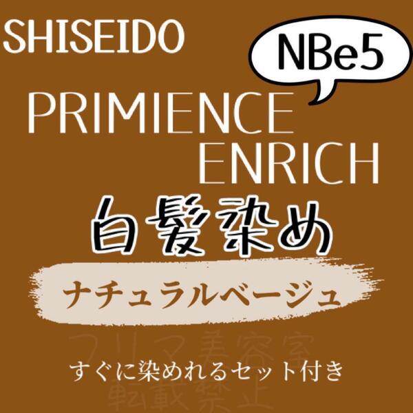 最安値 資生堂 NBe5 白髪染め ヘアカラー ロング用 ヘアカラー剤 2本組 セット付 少し暗め 色持ち良し 自然な地毛に近いナチュラルベージュ