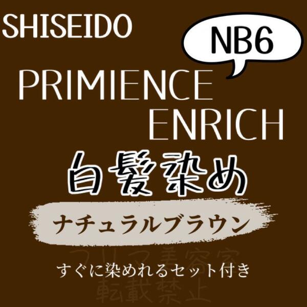 最安値 資生堂 NB6 白髪染め ショート ヘアカラー剤 セット付 ヘアカラー ほんの少し暗め 色持ち良し 自然な地毛に近いナチュラルブラウン