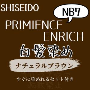 最安値 資生堂 NB7 白髪染め ロング用 ヘアカラー剤 セット ヘアカラー ほんの少し明るめ 色持ち良し 自然な地毛に近いナチュラルブラウン