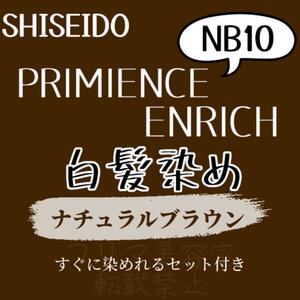 最安値 資生堂 NB10 白髪染め ロング用 ヘアカラー剤 セット付 2本組 ヘアカラー 明るめ 色持ち良し 自然な地毛に近いナチュラルブラウン