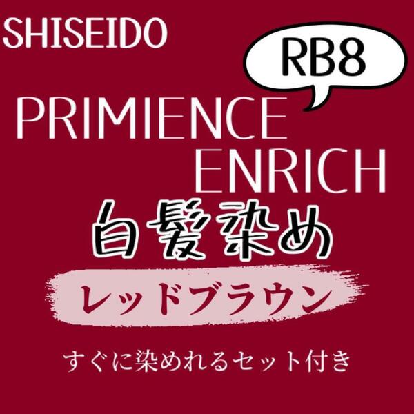 最安値　RB8 資生堂　白髪染め　ショート　メンズ　ヘアカラー剤　すぐに使えるセット付　レッド　ブラウン　グレーカラー　美容室