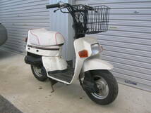 HONDA スカッシュ　50cc 6V_画像5