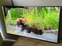 シャープ 液晶テレビ AQUOS(アクオス) 4T-C60EN1 [60V型 /4K対応 /BS・CS 4Kチューナー内蔵 /YouTube対応] 液晶割れジャンク品 10303_画像7