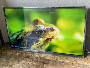 シャープ 液晶テレビ AQUOS 2T-C32EF1 [32V型 /ハイビジョン /YouTube対応 /Bluetooth対応] 2023年製造 美品